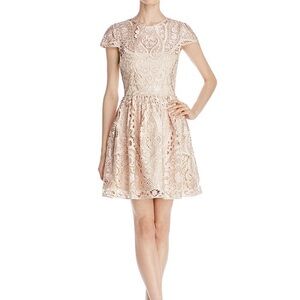 Alice + Olivia Gracia Cap-Sleeve Lace Dress